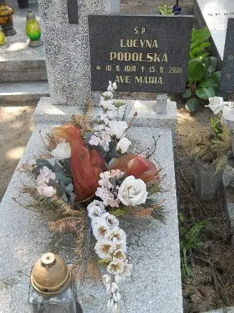 Zdjęcie grobu 35/100