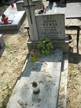 Zdjęcie grobu 30/175