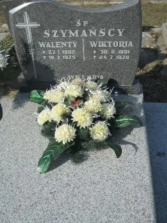 Zdjęcie grobu 5/207,208