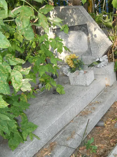 Zdjęcie grobu 18/28705