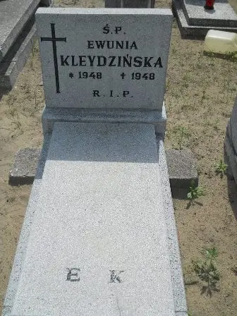 Zdjęcie grobu 21/100