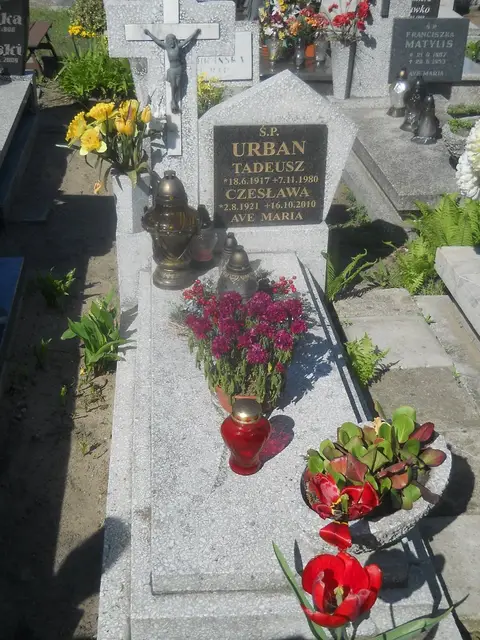 Zdjęcie grobu 5/22430