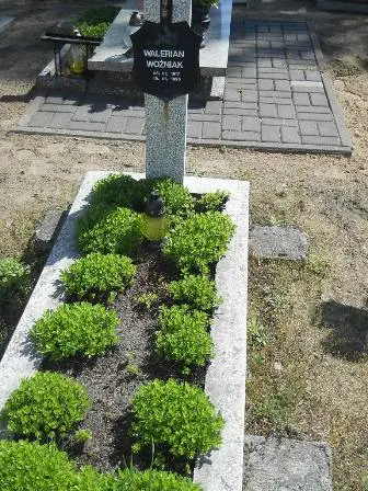 Zdjęcie grobu 46/100