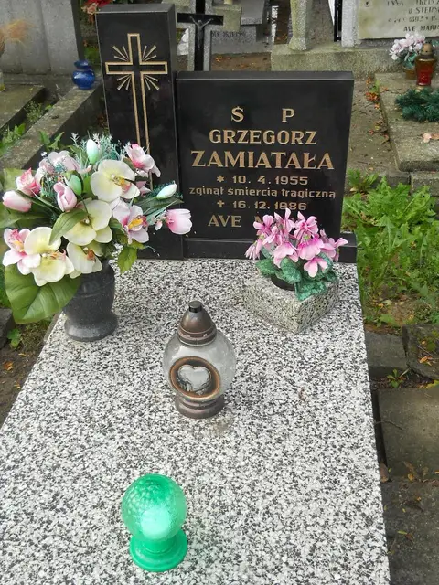 Zdjęcie grobu 14/27036