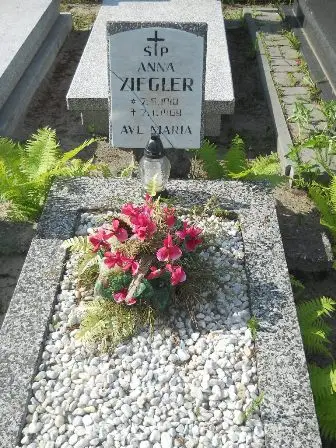 Zdjęcie grobu 20/186