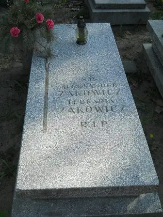 Zdjęcie grobu 28/100