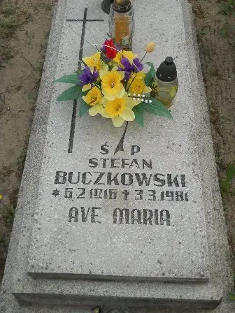 Zdjęcie grobu 22/196