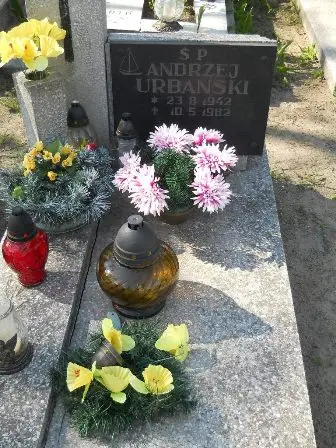 Zdjęcie grobu 24/214