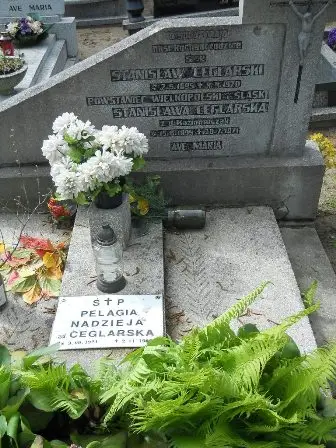 Zdjęcie grobu 38/100