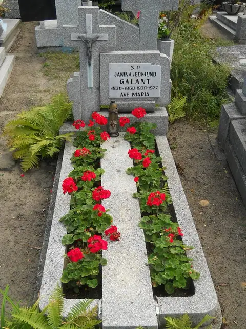 Zdjęcie grobu 6/24148