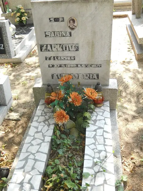 Zdjęcie grobu 18/28374
