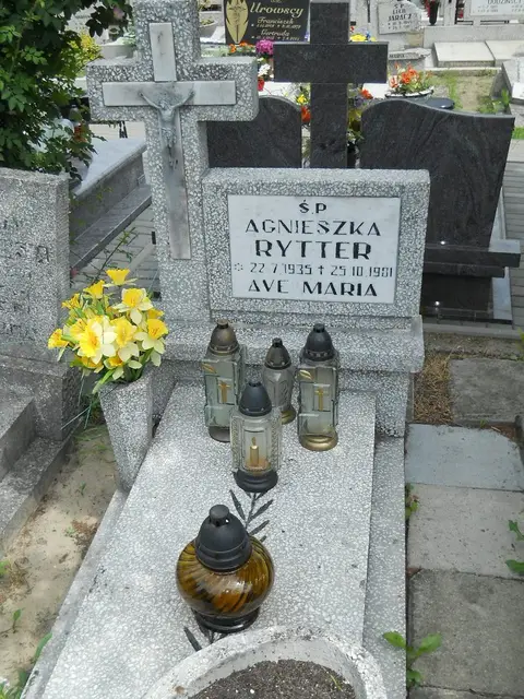 Zdjęcie grobu 7/11567