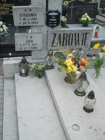 Zdjęcie grobu 43/100