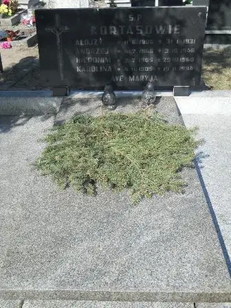 Zdjęcie grobu C/70,71,72