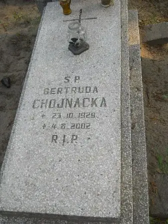 Zdjęcie grobu 7b/233
