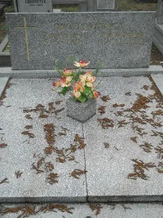 Zdjęcie grobu 32/208,209