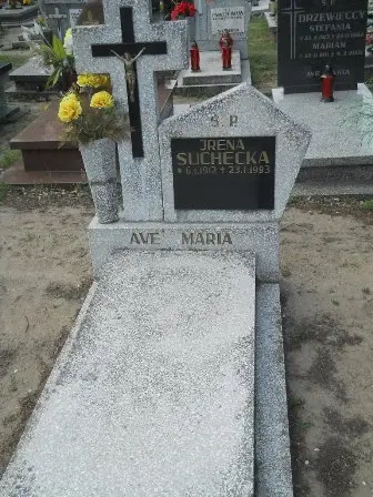 Zdjęcie grobu 34/213