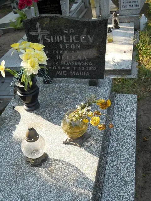 Zdjęcie grobu 14/27991