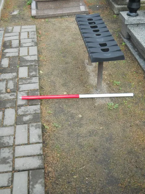 Zdjęcie grobu B/25513