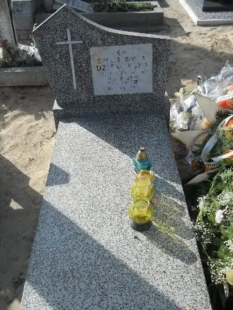 Zdjęcie grobu 5/58