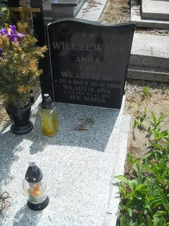 Zdjęcie grobu 25/2a