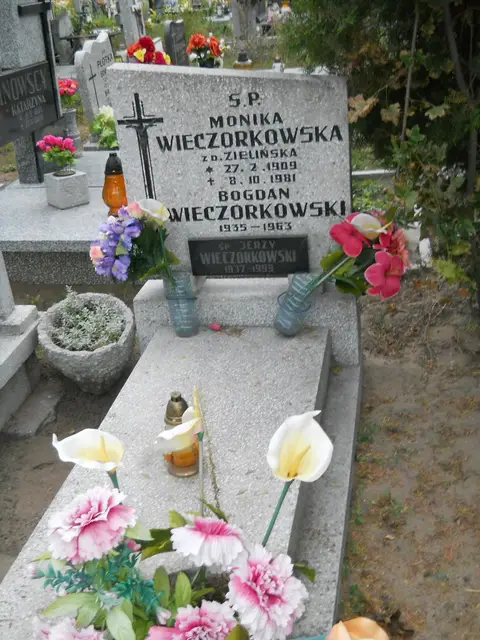 Zdjęcie grobu 20/29080