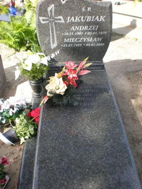 Zdjęcie grobu 8B/20169