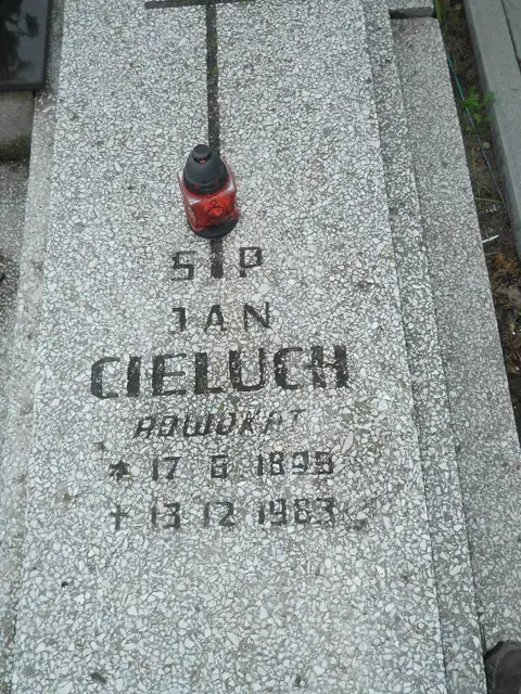 Zdjęcie grobu 24/23312