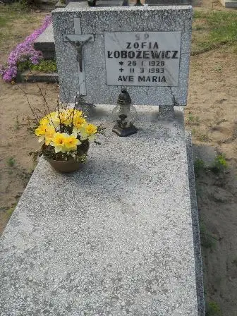 Zdjęcie grobu 34/100