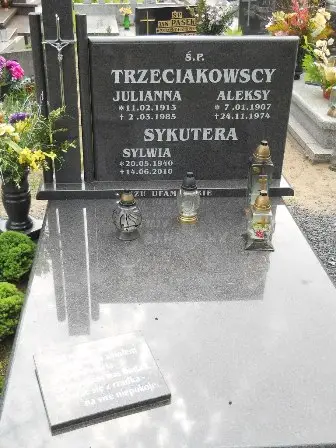 Zdjęcie grobu 40/100