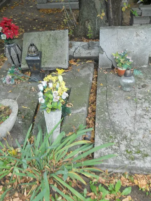 Zdjęcie grobu 14/26065