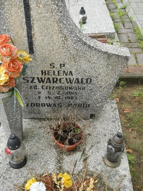 Zdjęcie grobu 22/23446