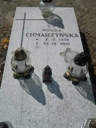 Zdjęcie grobu 46/263