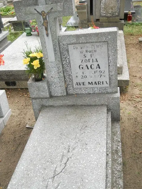 Zdjęcie grobu 12/29369