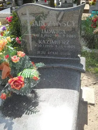 Zdjęcie grobu 25/236