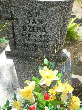 Zdjęcie grobu 46/100