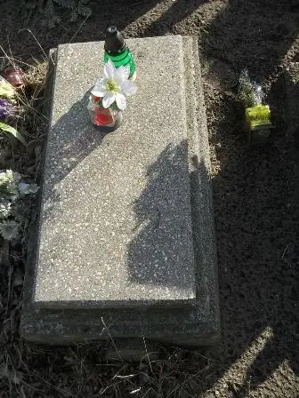 Zdjęcie grobu 100/100