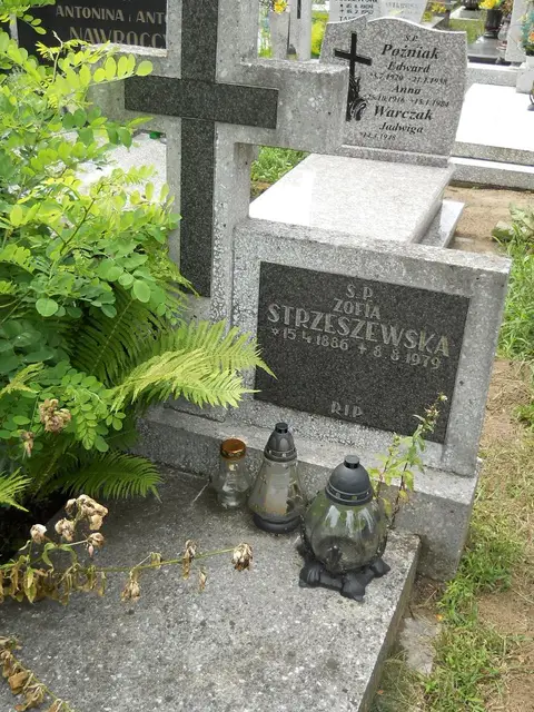 Zdjęcie grobu 5/22674