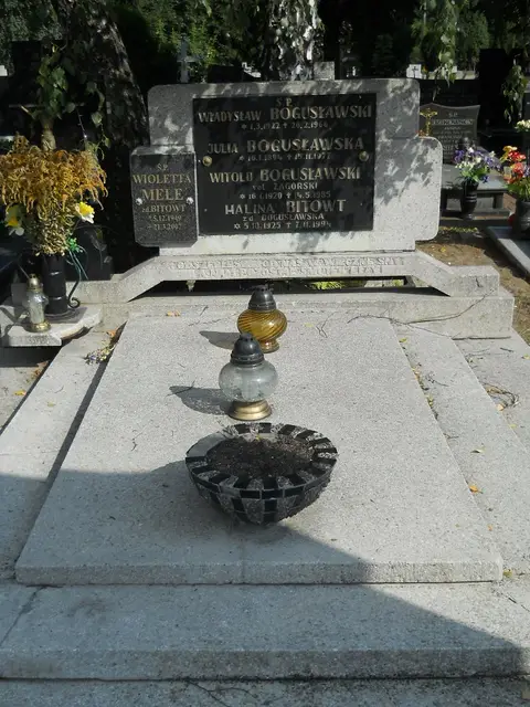Zdjęcie grobu A/25051