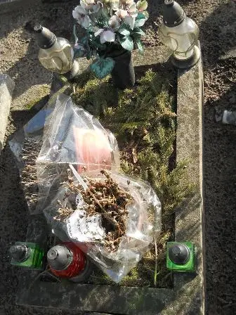 Zdjęcie grobu 100/100