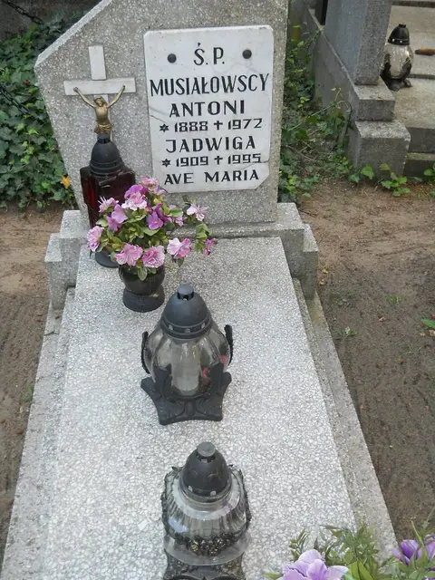 Zdjęcie grobu 14/26887