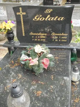 Zdjęcie grobu 33/264,265