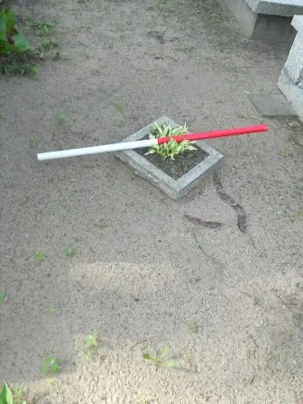 Zdjęcie grobu 24/100