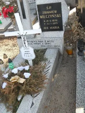 Zdjęcie grobu 1/212,213