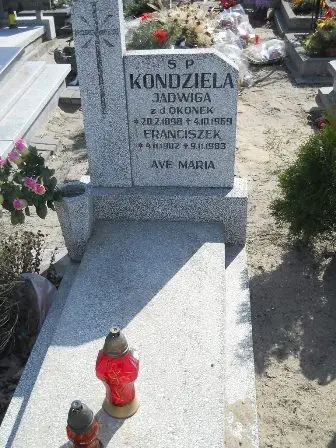 Zdjęcie grobu 3/100