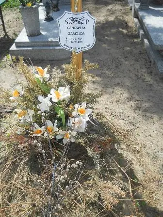 Zdjęcie grobu 25/65