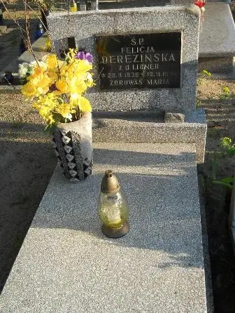 Zdjęcie grobu 45/3