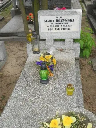 Zdjęcie grobu 36/186