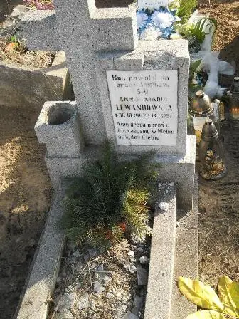Zdjęcie grobu 100/100