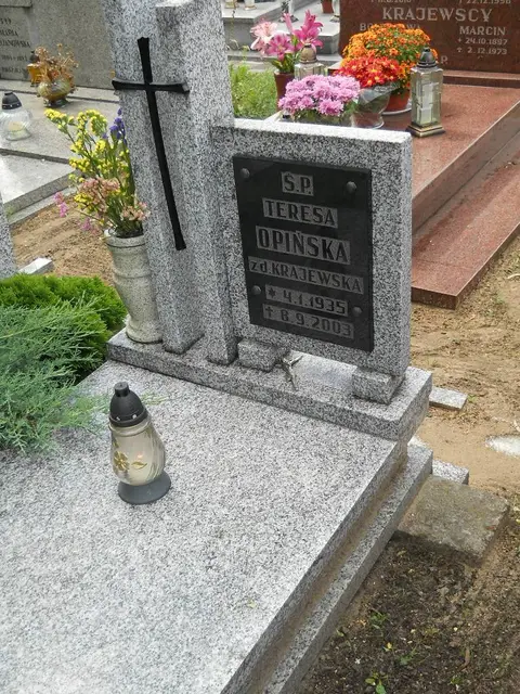 Zdjęcie grobu 5/22564